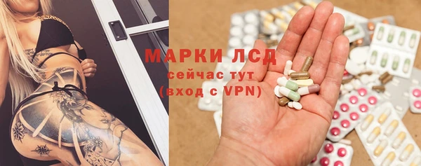 гидра Алексеевка