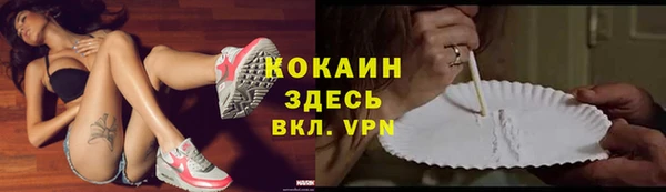 спайс Арсеньев