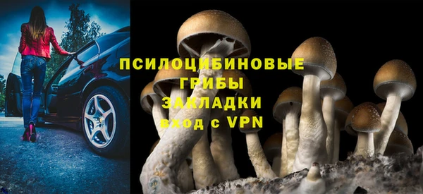 спайс Арсеньев