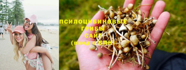 гидра Алексеевка